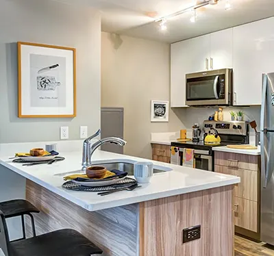 Student 5 Bedroom Apartments